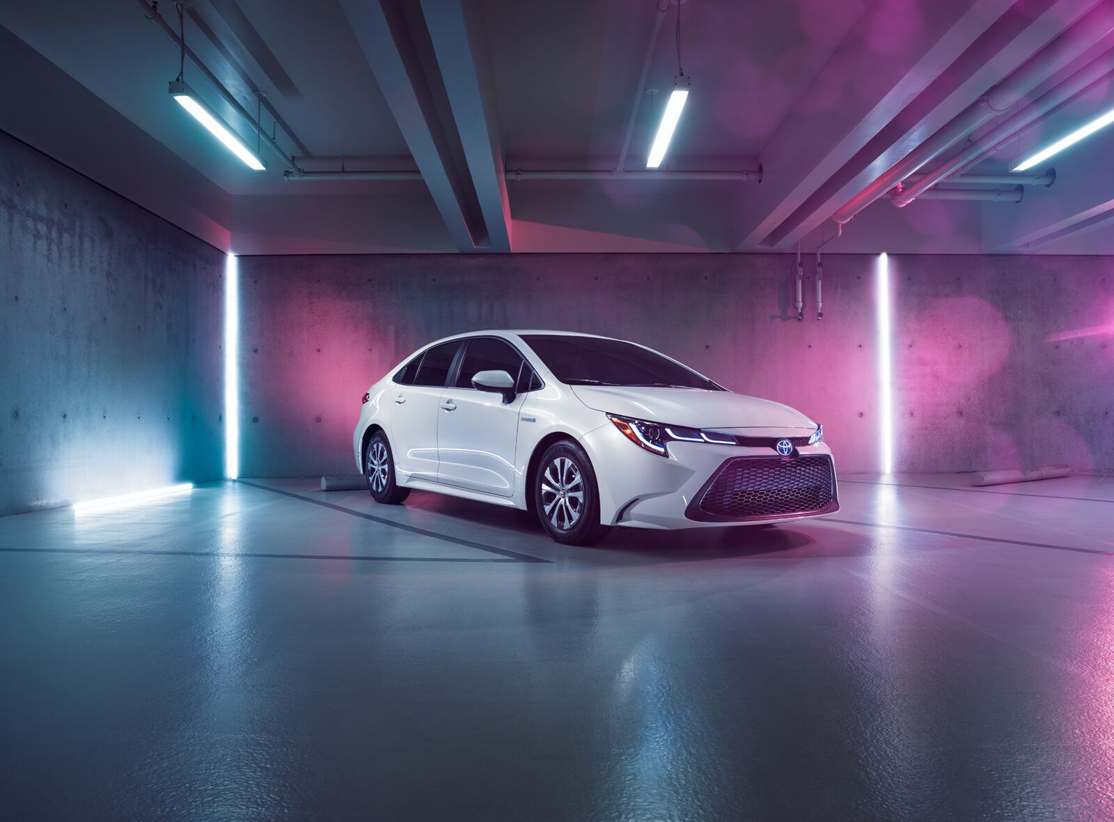 Read more about the article Toyota Corolla Hybrid photographed by Alex Bernstein