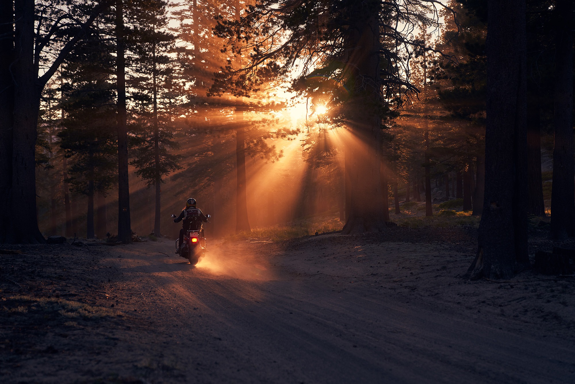 Read more about the article “395 & Beyond” by photographer Alex Bernstein