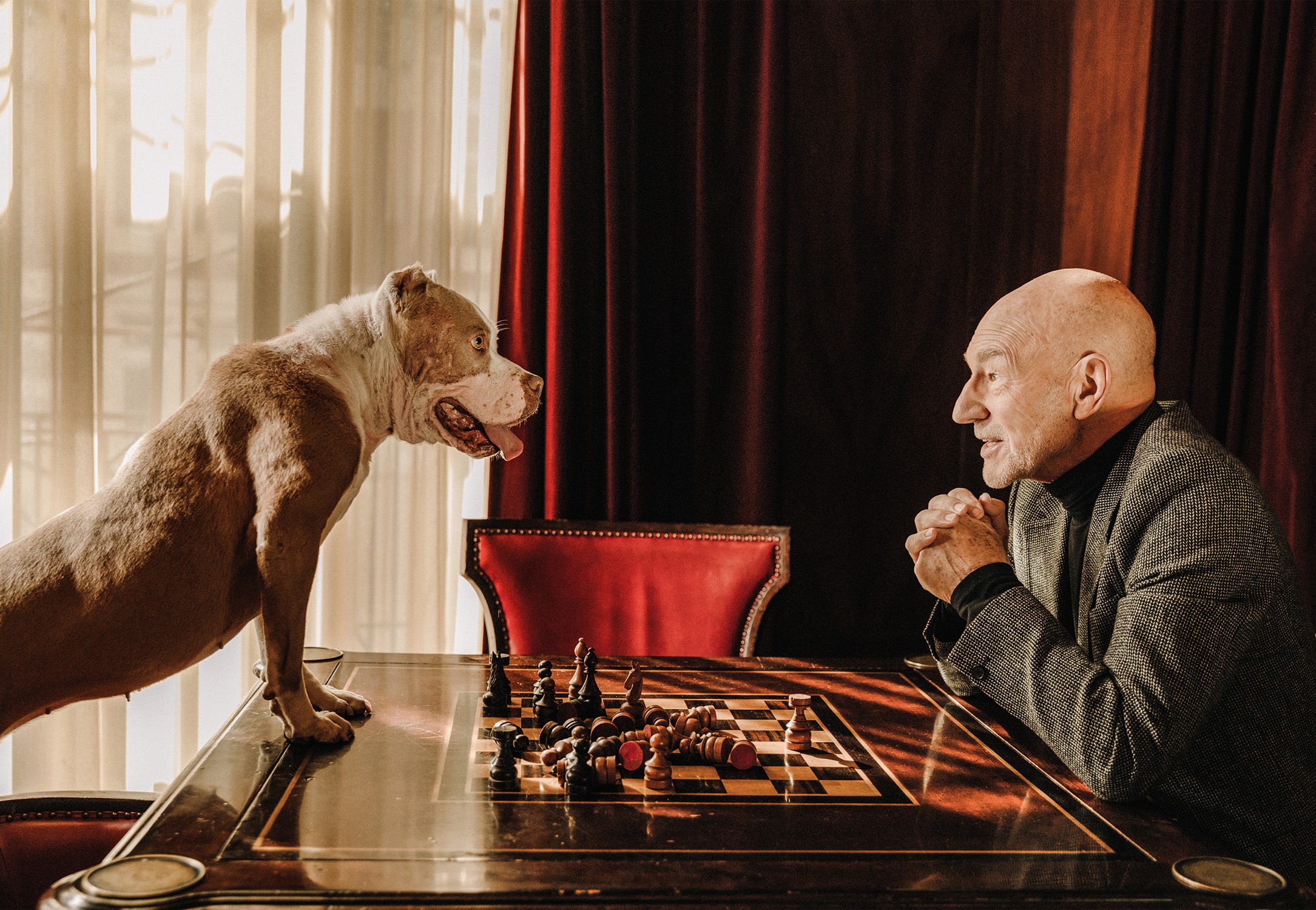 Read more about the article Patrick Stewart photographed by Elizabeth Weinberg